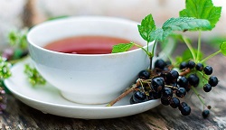 Как приготовить чай со смородиной и в чем польза его употребления