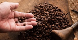 Сорт кофе Робуста: выбор, преимущества и особенност