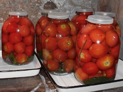 Секрети приготування смачних квашених помідорів: що для цього потрібно