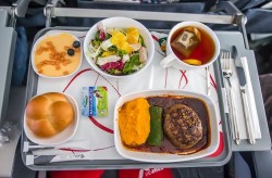 Особенности питания в самолете: какую пищу дают и стоит ли брать что-то с собой