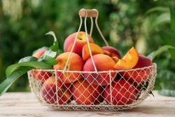 Особенности самостоятельного выращивания персиков: что нужно знать 