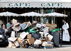 Вывоз мусора с кафе и ресторанов и правила его утилизации