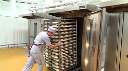 Применение ротационных печей в кондитерском и хлебопекарном бизнесе