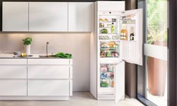 Холодильник для дома: классификация и критерии выбора