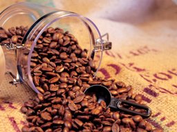 Выбор кофе: какой лучше: в зернах, молотый и как проверить