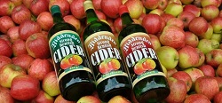 Производство и разновидности сидра: особенности, рецепты и популярные сорта