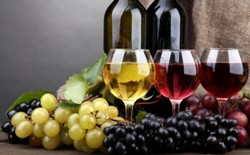 Выбор вина: как правильно подбирать напиток к застолью