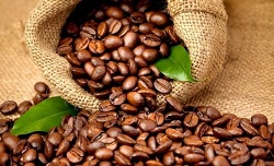 Как правильно выбрать зерновой кофе: виды, сравнение и особенности